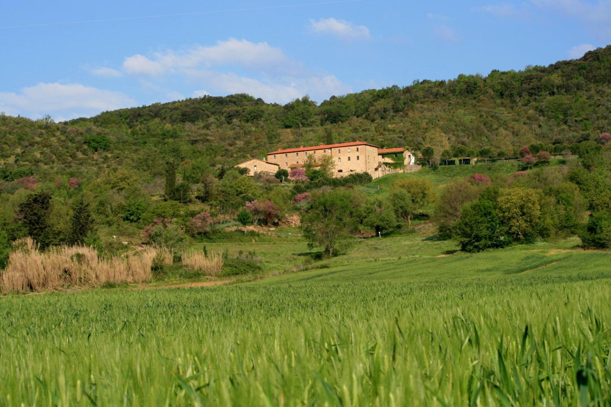 Agriturismo San Ottaviano Monterotondo  Экстерьер фото