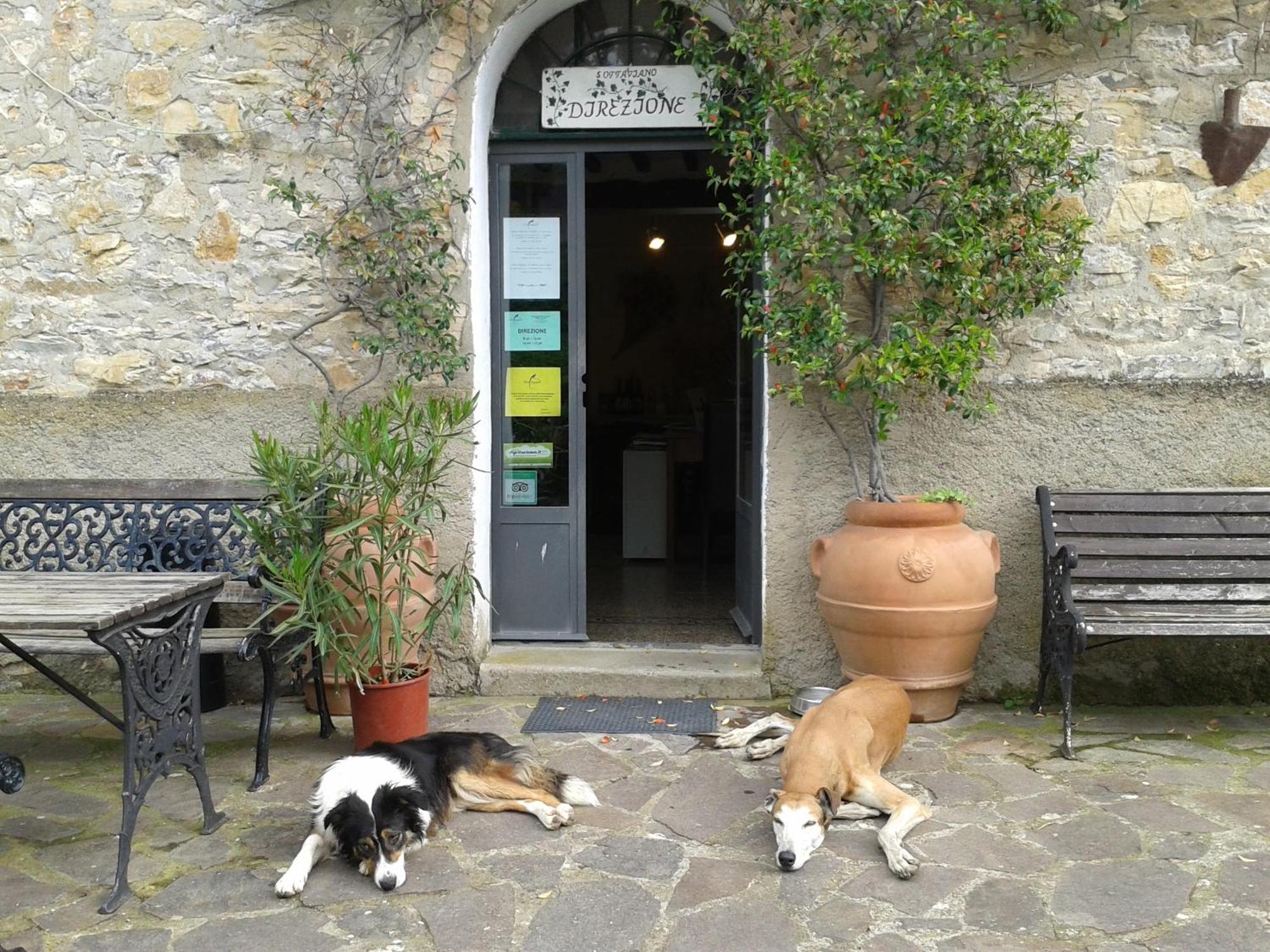 Agriturismo San Ottaviano Monterotondo  Экстерьер фото
